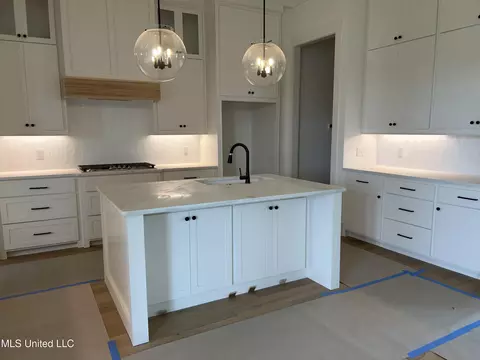 Kitchen - 356 Wellstone Pl, Madison, MS 39110 photo 2 of 2
