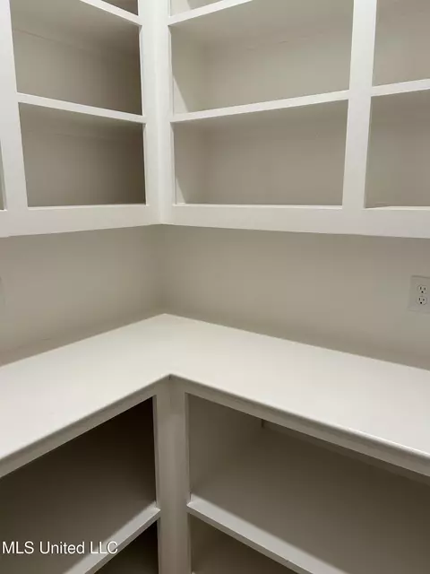 Other - 356 Wellstone Pl, Madison, MS 39110 photo 1 of 11