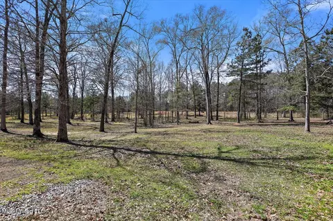 131 Breckenridge Dr, Brandon, MS 39042 photo 47