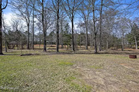 131 Breckenridge Dr, Brandon, MS 39042 photo 45