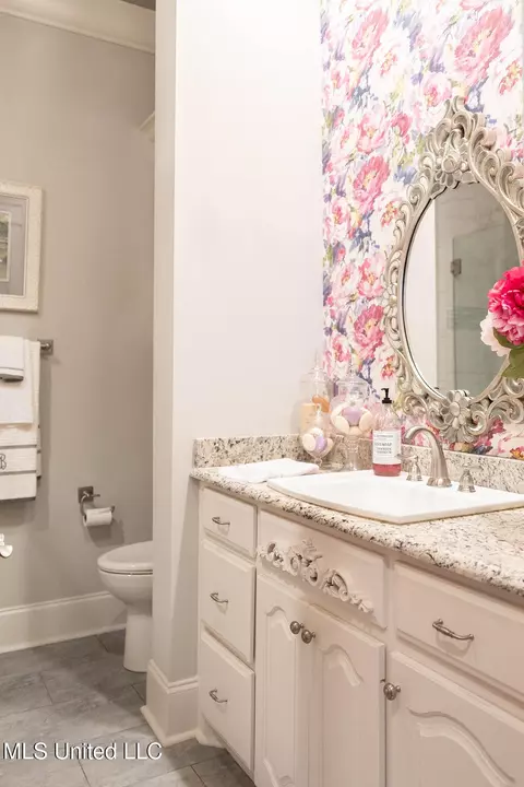 Bath - 134 Burne Run, Madison, MS 39110 photo 6 of 6