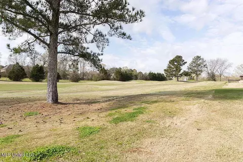 Other - 134 Burne Run, Madison, MS 39110 photo 16 of 16