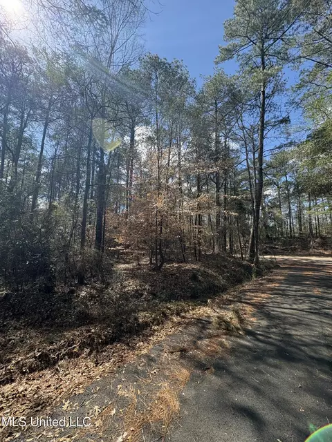 Ms-13, Mendenhall, MS 39114 photo 4