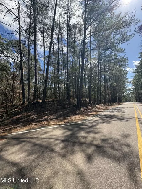 Ms-13, Mendenhall, MS 39114 photo 5