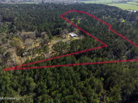 Ms-13, Mendenhall, MS 39114 photo 8
