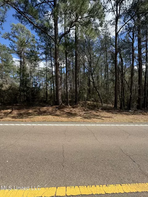 Ms-13, Mendenhall, MS 39114 photo 6