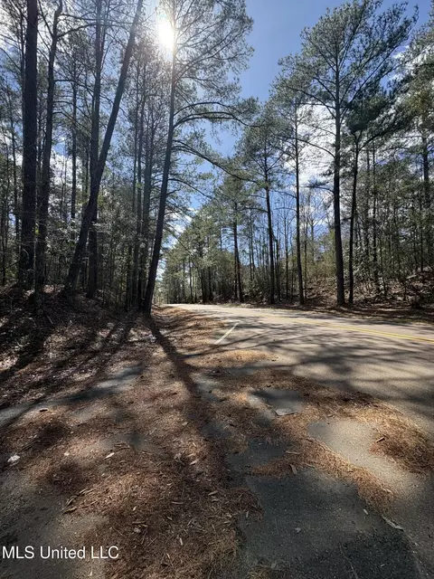 Ms-13, Mendenhall, MS 39114 photo 3