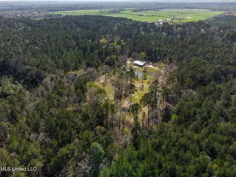 Ms-13, Mendenhall, MS 39114 photo 10
