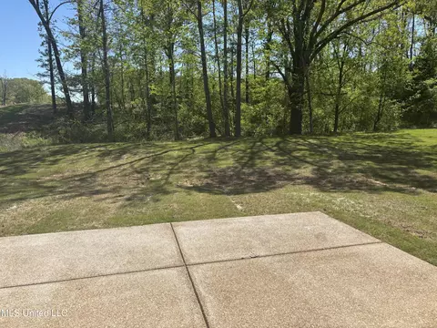 963 Buttermilk Dr, Nesbit, MS 38651 photo 3