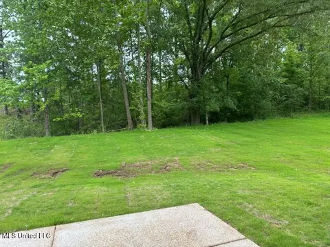 963 Buttermilk Dr, Nesbit, MS 38651 photo 19