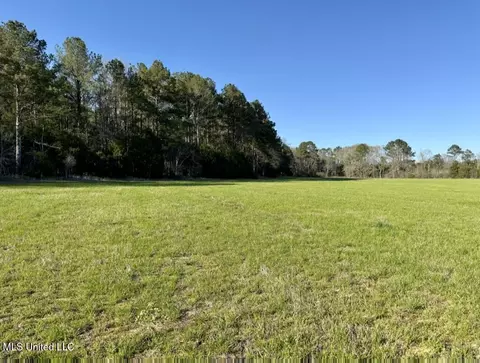 0030 Stump Bridge Rd, Canton, MS 39046