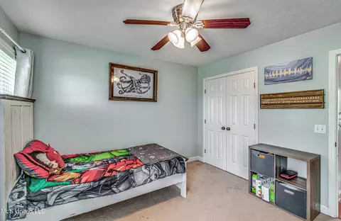 243 Cherry Bark Dr, Brandon, MS 39047 photo 24