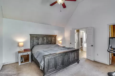 243 Cherry Bark Dr, Brandon, MS 39047 photo 34