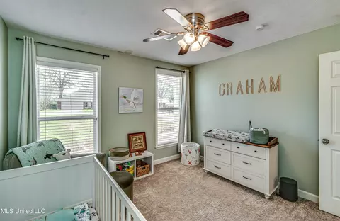 243 Cherry Bark Dr, Brandon, MS 39047 photo 19