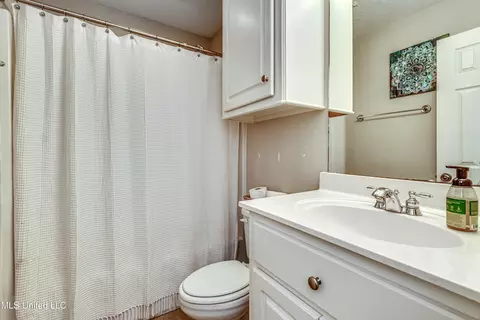 243 Cherry Bark Dr, Brandon, MS 39047 photo 22