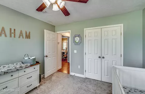 243 Cherry Bark Dr, Brandon, MS 39047 photo 21