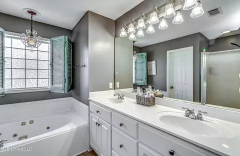 243 Cherry Bark Dr, Brandon, MS 39047 photo 39