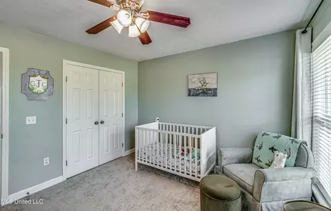 243 Cherry Bark Dr, Brandon, MS 39047 photo 20