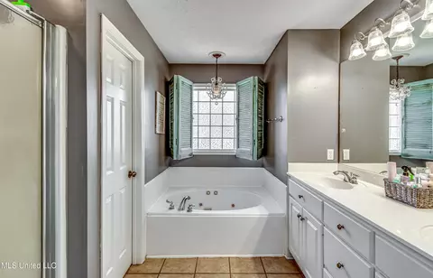 243 Cherry Bark Dr, Brandon, MS 39047 photo 38