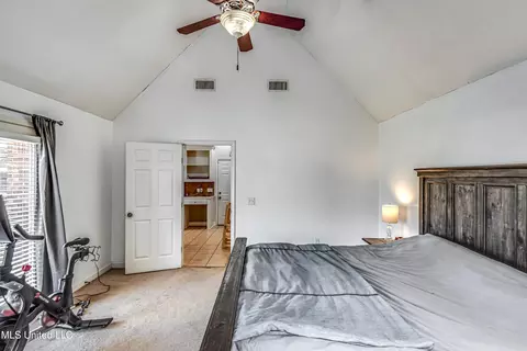 243 Cherry Bark Dr, Brandon, MS 39047 photo 37