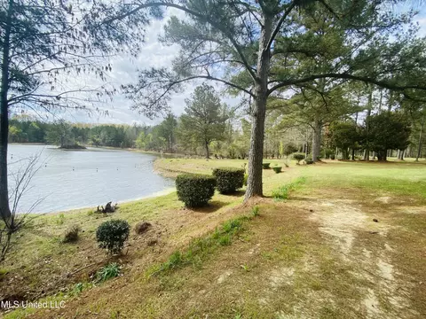 View/Area - 12130 Springridge Rd, Terry, MS 39170 photo 4 of 4