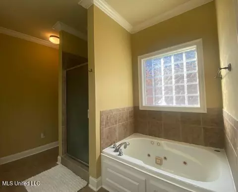 213 Provonce Park, Brandon, MS 39042 photo 16