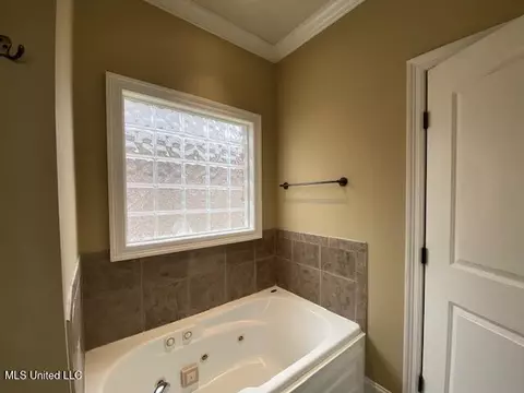 213 Provonce Park, Brandon, MS 39042 photo 19