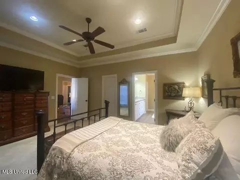 213 Provonce Park, Brandon, MS 39042 photo 14