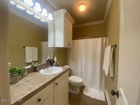 213 Provonce Park, Brandon, MS 39042 photo 23