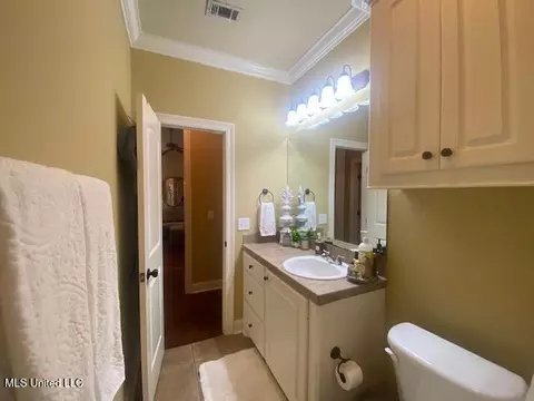 213 Provonce Park, Brandon, MS 39042 photo 24