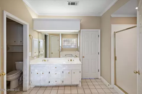 Bath - 152 Pavilion Dr, Brandon, MS 39042 photo 2 of 3