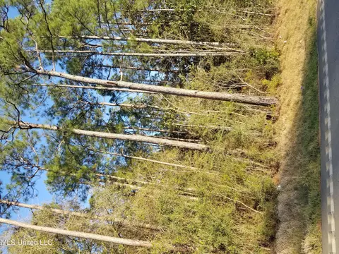 90 Highway Hwy, Ocean Springs, MS 39564