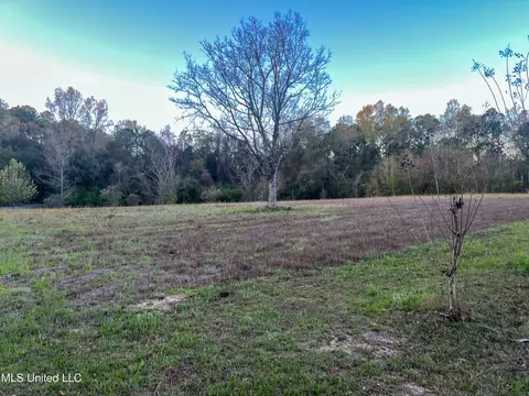 258 Wes Havard Rd, Lucedale, MS 39452 photo 2