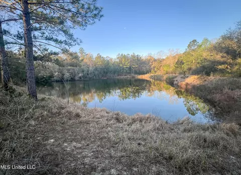 148 Cook Dr, Lucedale, MS 39452 photo 16