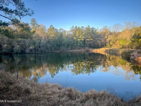 148 Cook Dr, Lucedale, MS 39452 photo 2