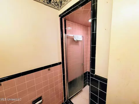 Bath - 1817 Wisteria Dr, Jackson, MS 39204 photo 2 of 3