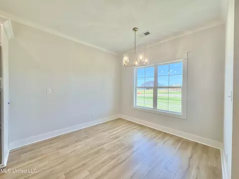 Other - 4275 Brooke Dr, Nesbit, MS 38651 photo 11 of 28