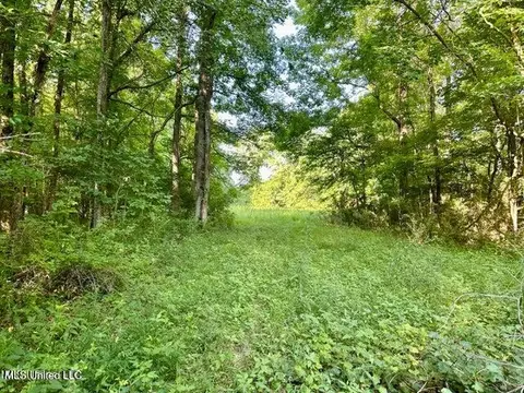 587 Ridge Rd, Sarah, MS 38665