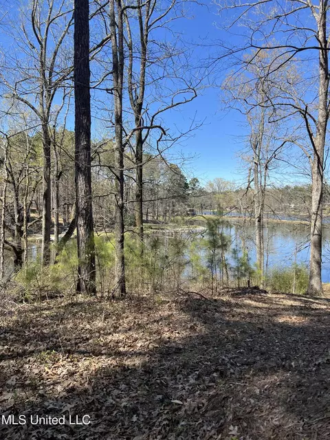 12 Boka Cv, Hernando, MS 38632 photo 7
