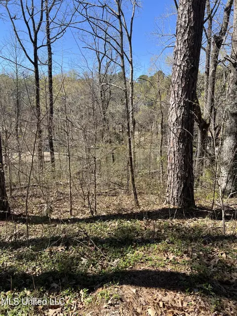 12 Boka Cv, Hernando, MS 38632 photo 5