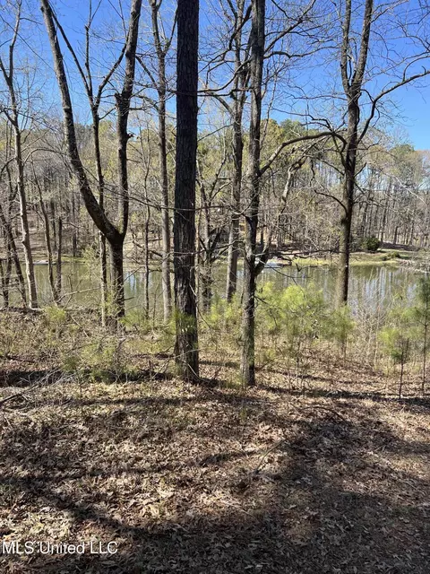 12 Boka Cv, Hernando, MS 38632 photo 4