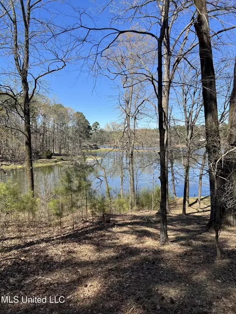 12 Boka Cv, Hernando, MS 38632 photo 3