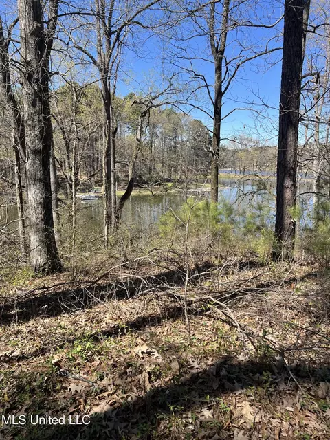 12 Boka Cv, Hernando, MS 38632 photo 6