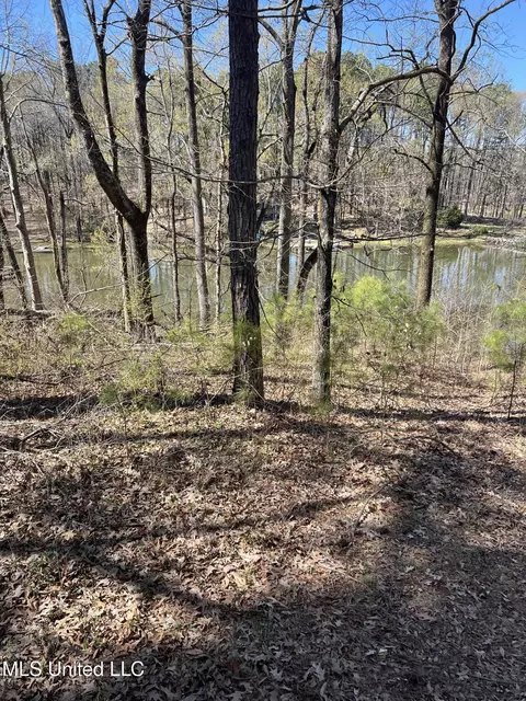 12 Boka Cv, Hernando, MS 38632