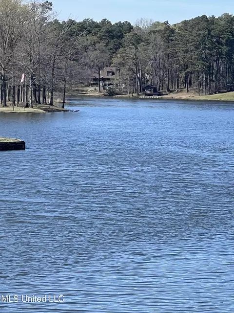 12 Boka Cv, Hernando, MS 38632 photo 2