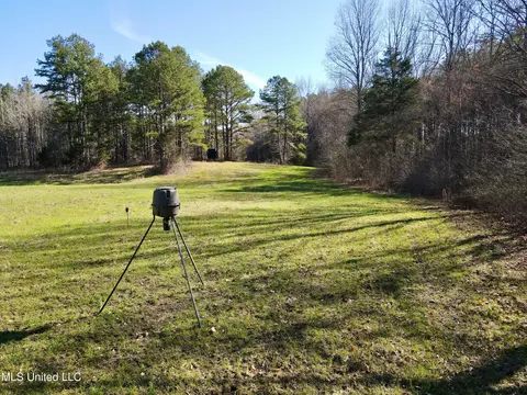 217 281, Banner, MS 38913 photo 10
