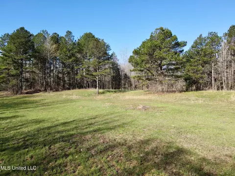 217 281, Banner, MS 38913 photo 3
