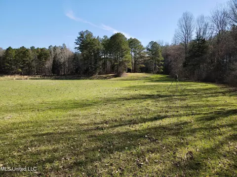 217 281, Banner, MS 38913 photo 13