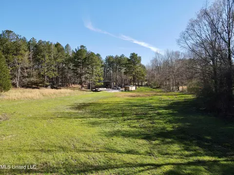 217 281, Banner, MS 38913 photo 8