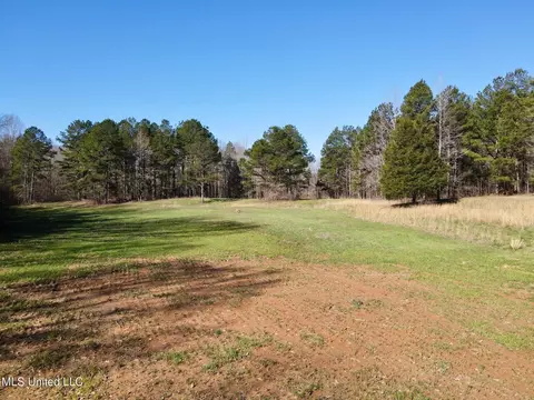 217 281, Banner, MS 38913 photo 19